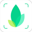 识物app v1.4