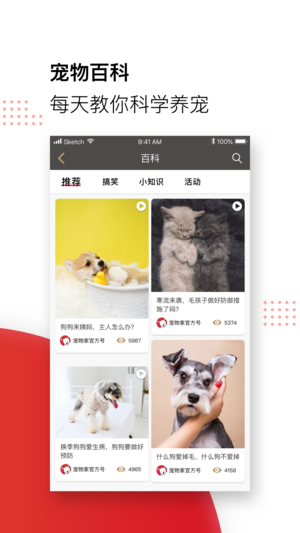 宠物家app 