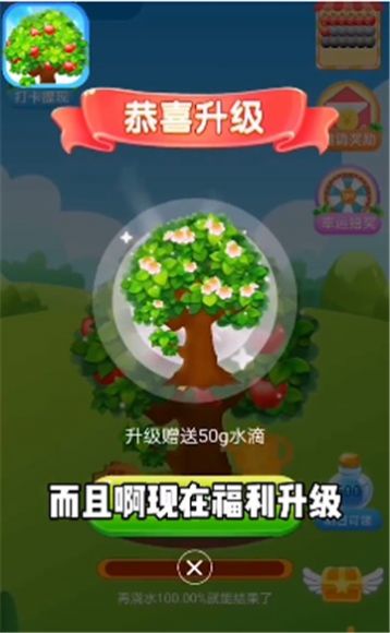 平安果园赚钱APP