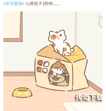 遇见你的猫触发喵圈方法条件大全