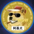 wcg柯基币最新链接官网app  v1.0