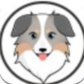 ass澳洲牧羊犬币app手机版  v1.0