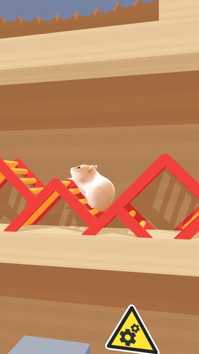 hamster maze