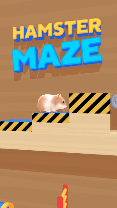 hamster maze