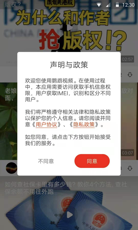 鹦鹉视频搞笑视频短片