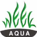 week aqua v1.3.4