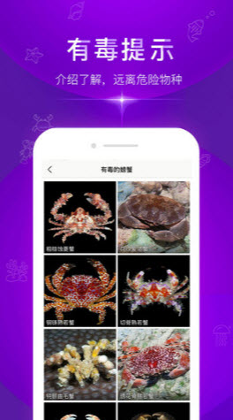 拍照识别鱼品种app