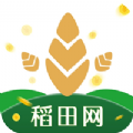 稻田网app