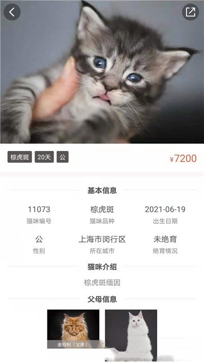 家连猫舍app