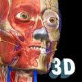 3d解剖学app