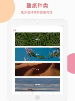 cozy壁纸app