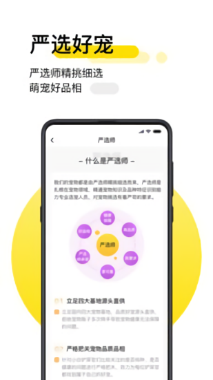 共宠app最新版