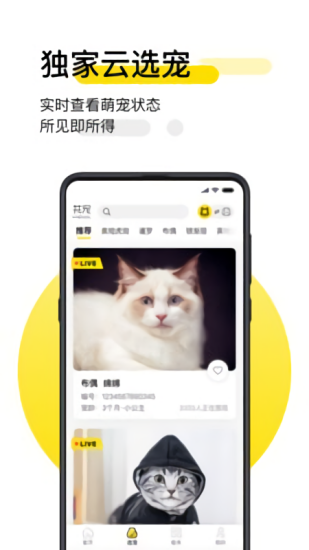共宠app最新版