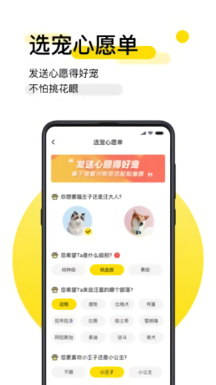 共宠app最新版