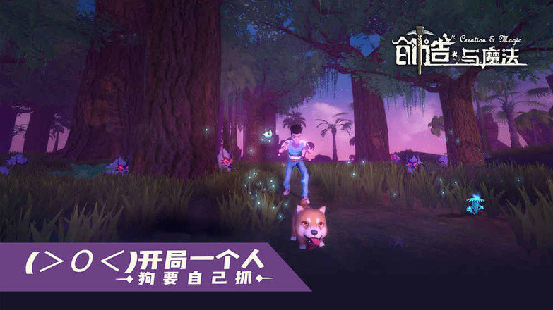 创造与魔法