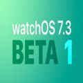 watchos 7.6.1描述文件 v1.1.9