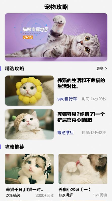 可爱喵喵壁纸大全app