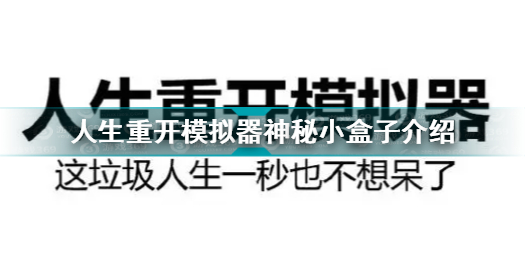 人生重开模拟器神秘小盒子有什么用 人生重开模拟器神秘小盒子介绍