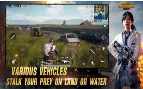 pubg mobile游戏