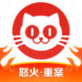 猫眼专业版实时票房累计