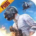 pubg地铁逃生灵魂出窍bug版 v1.14.10