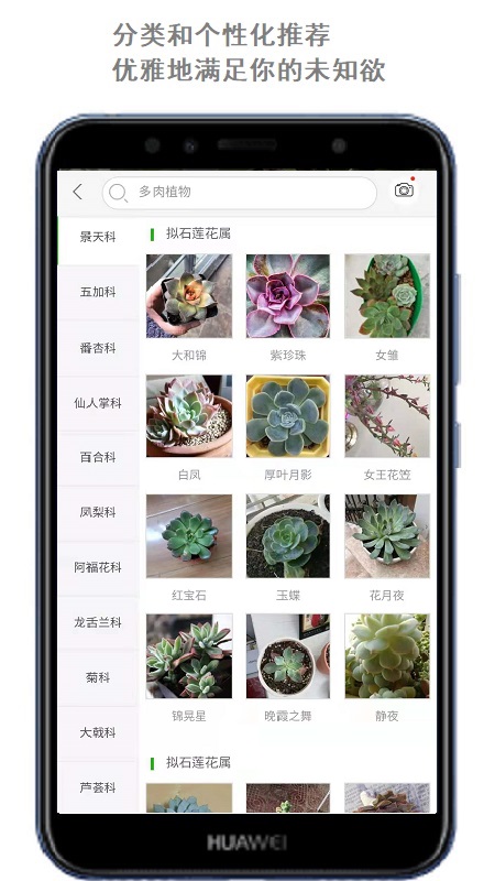 拍照识花免费