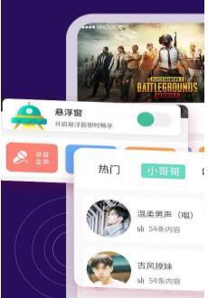 王者变声器精灵app