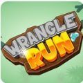 wrangle run