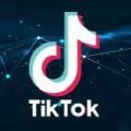 tiktok电商平台app官方版（tiktok seller） 