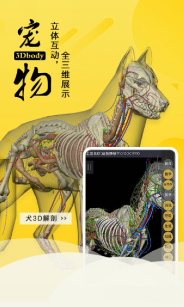 3dbody宠物 