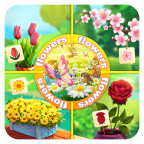 亿万花园小院 v1.0.4