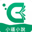 小道小说