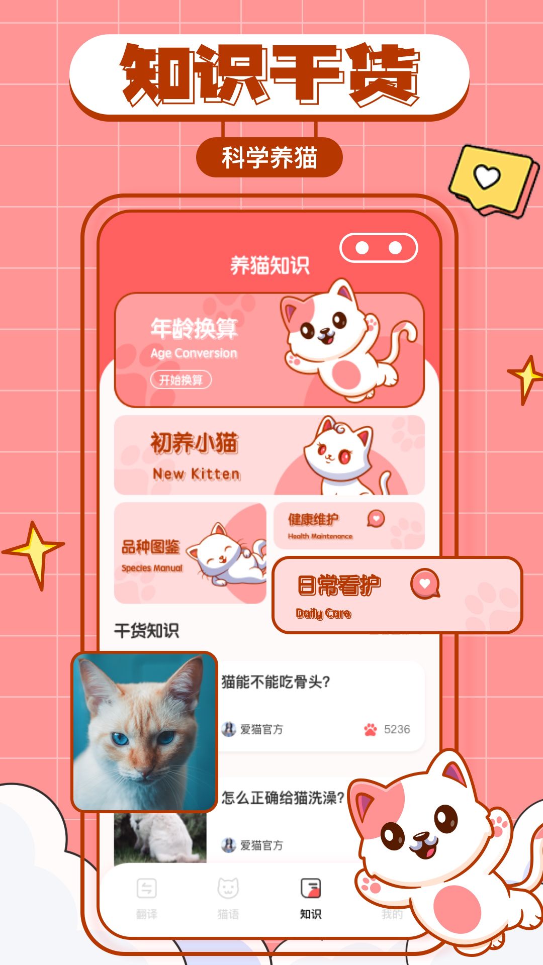 猫咪翻译物语