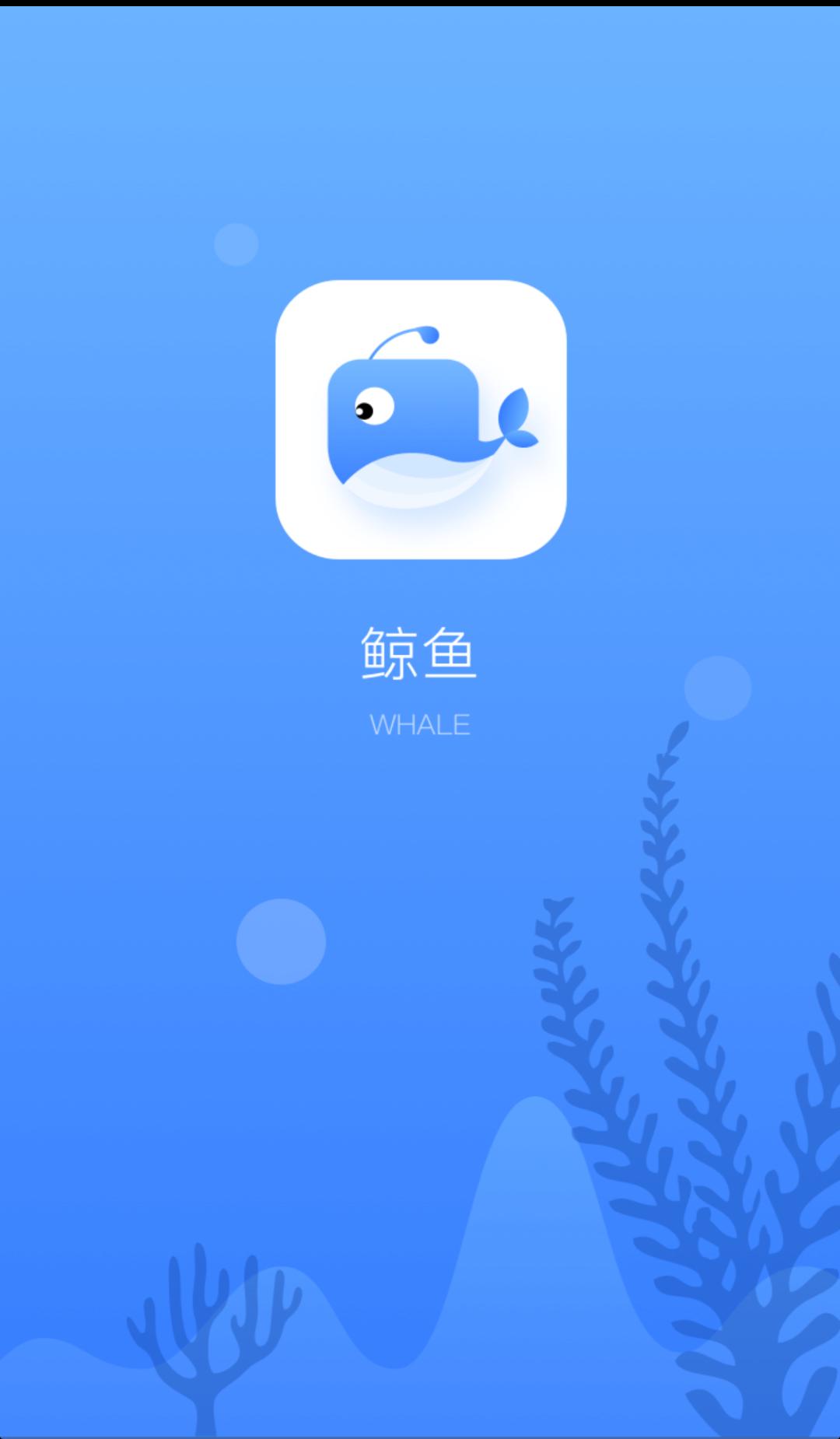 koala加速器ios